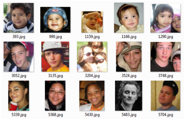 Collaborative Active Visual Recognition from Crowd